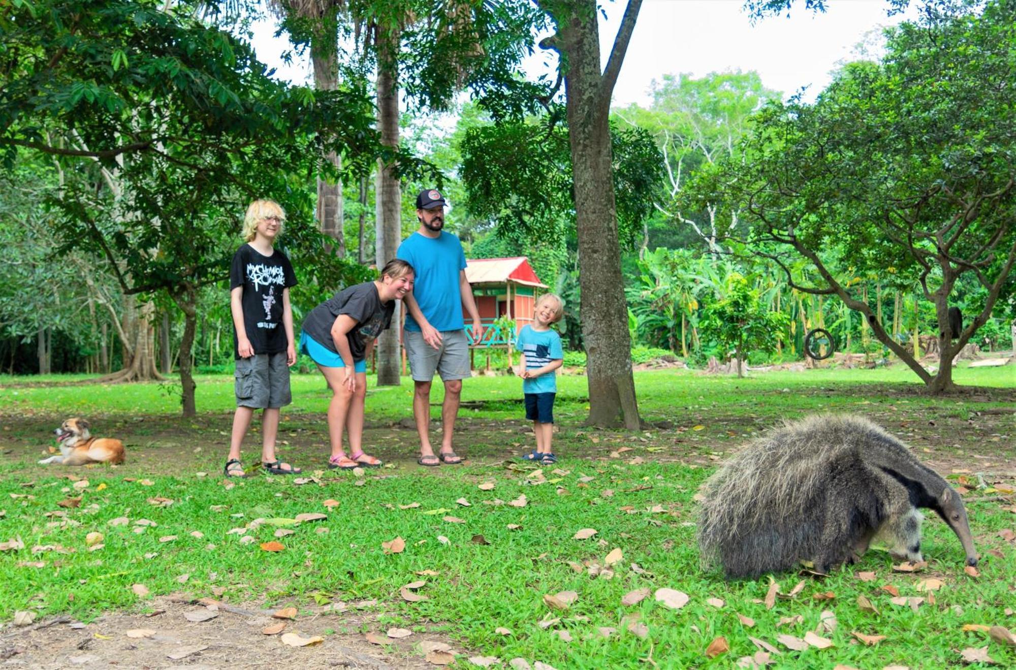Avatar Amazon Lodge & Canopy Park Santa Teresa  Esterno foto